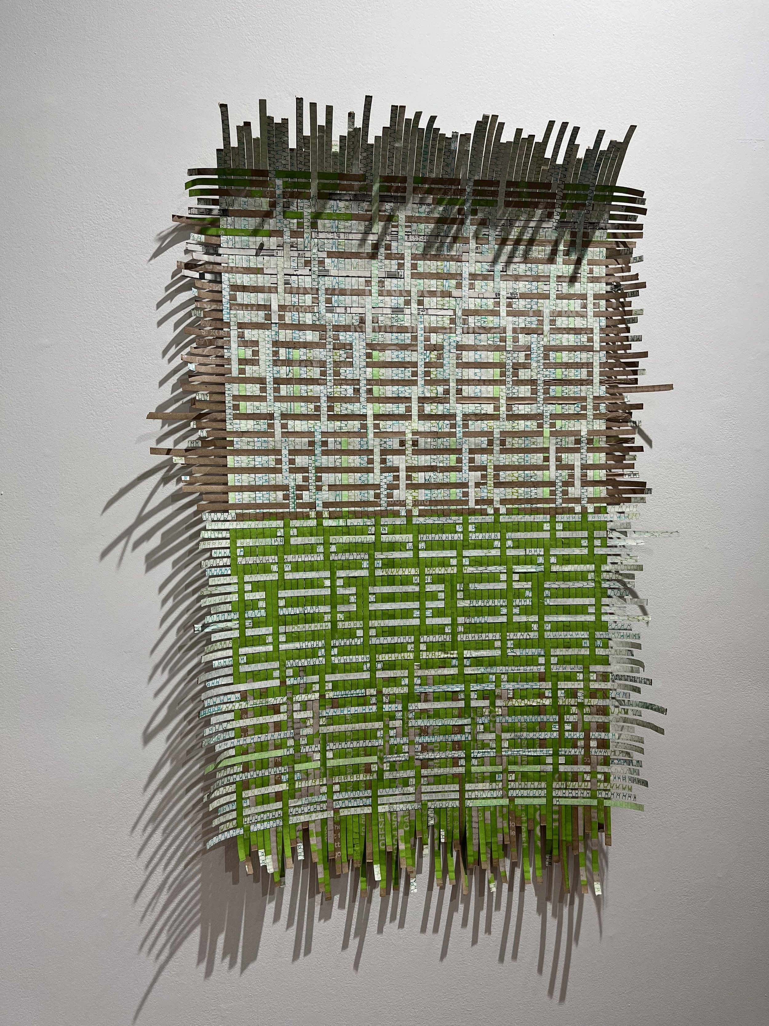 STOLL_Hello Fresh 5.jpeg