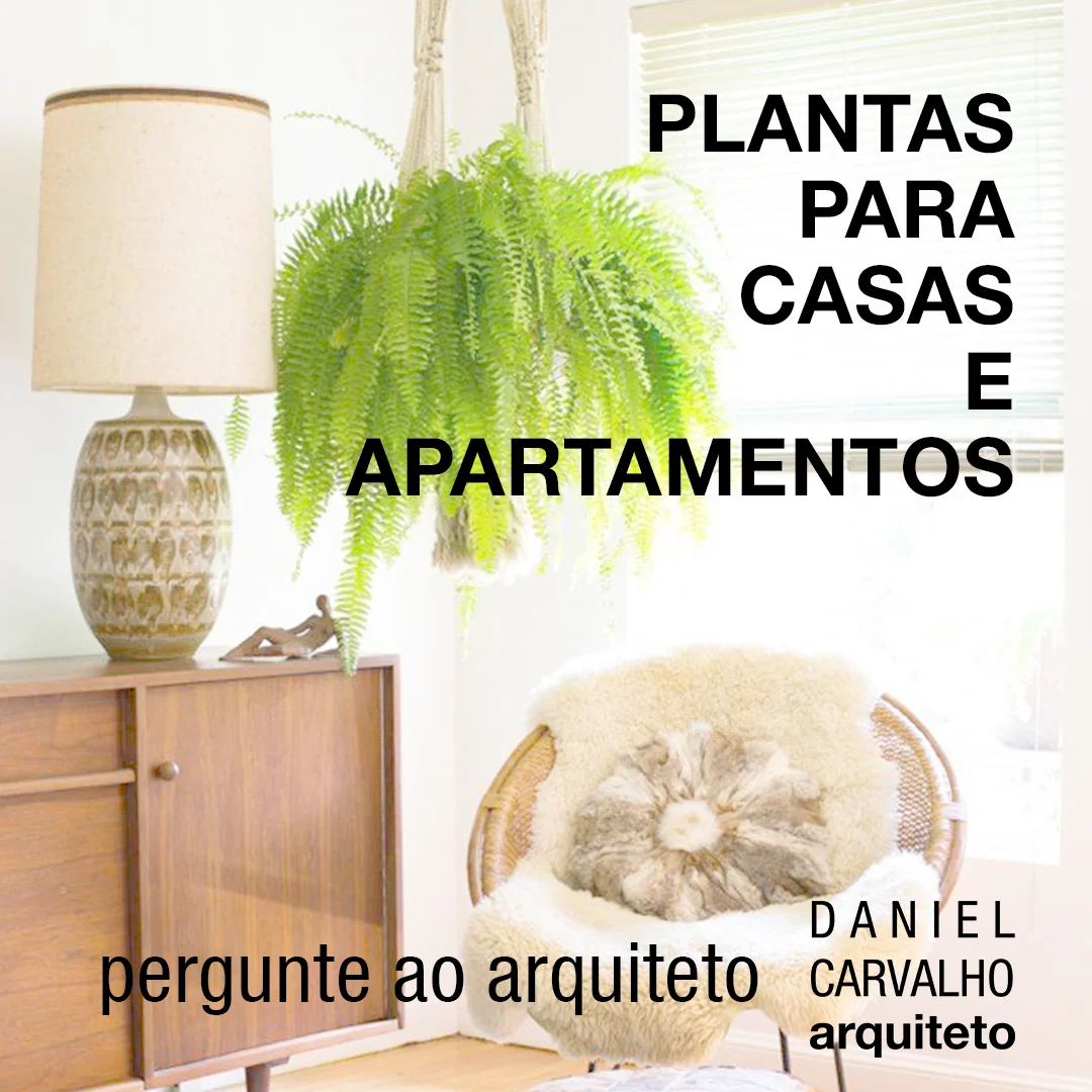 7 PLANTAS PARA CULTIVAR DENTRO DE CASA