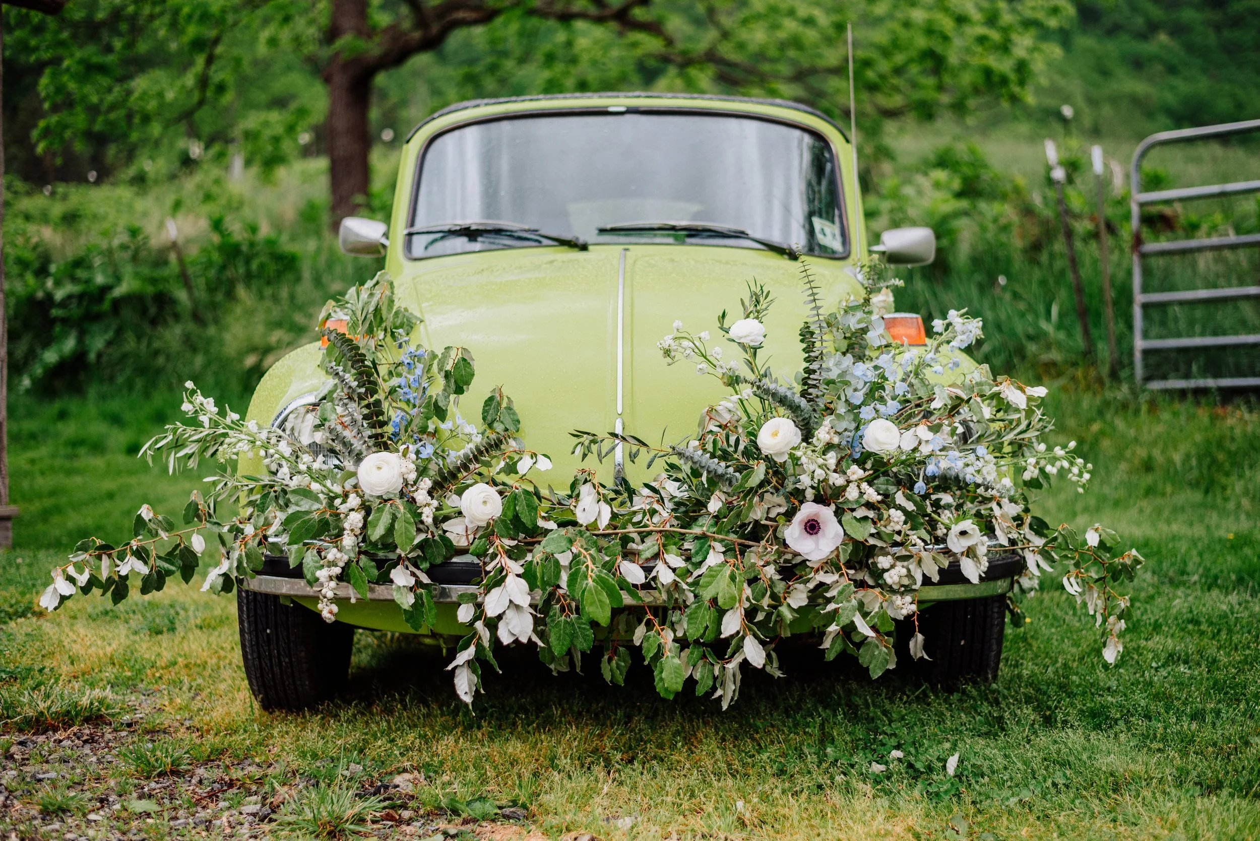 Will+Stuart 0285-RK4_9143.jpg