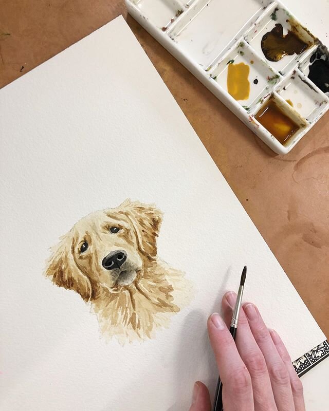 The sweetest little pup face for a custom wedding invitation in the works. And his name is Herschel. I mean, come on 🥰 🥰🥰