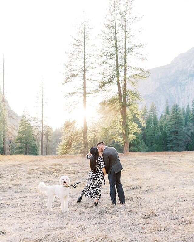 This Yosemite engagement session is one I&rsquo;ll never forget! The park was jammed pack and traffic was a nightmare (some crazy accident). I noticed we were losing sunlight quickly for our 2nd location so I asked Taylor and Andrew if they were will