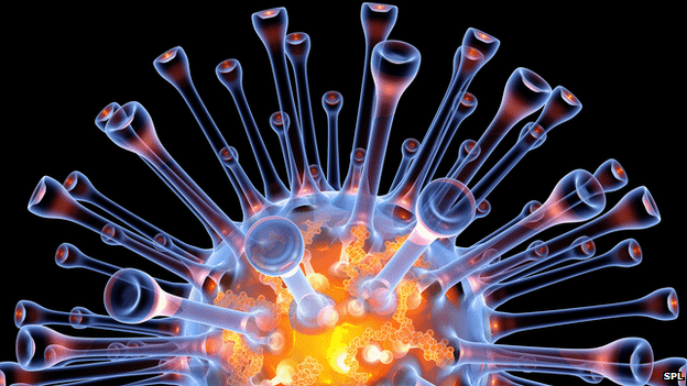 _70021465_c0019511-swine_flu_virus_pa.gif