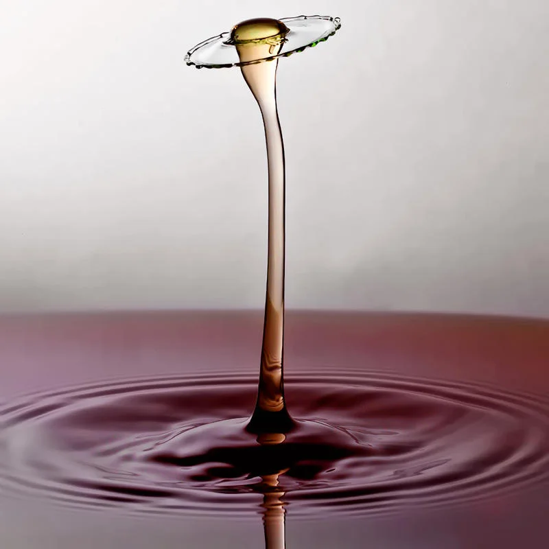 _twobytwo_Stunning_Liquid_Drops_009.jpg