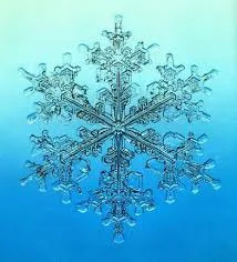 snowflake3.jpg
