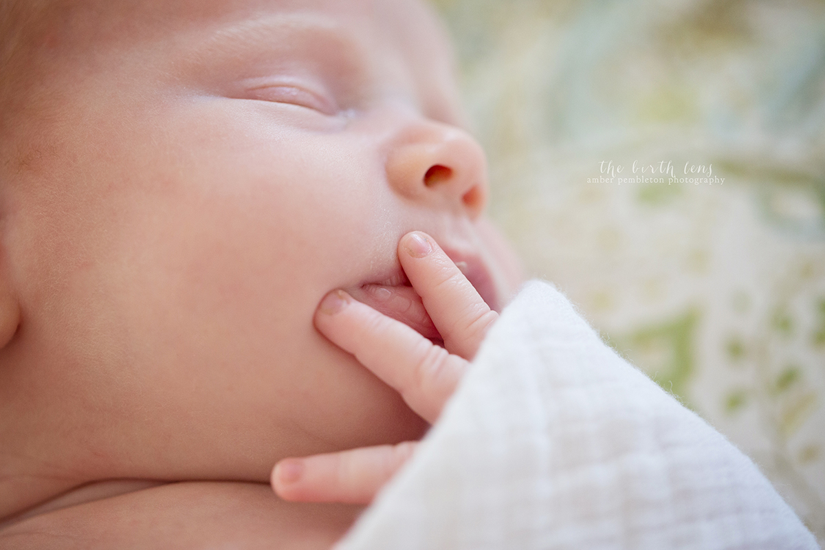 SDBaby-101.jpg