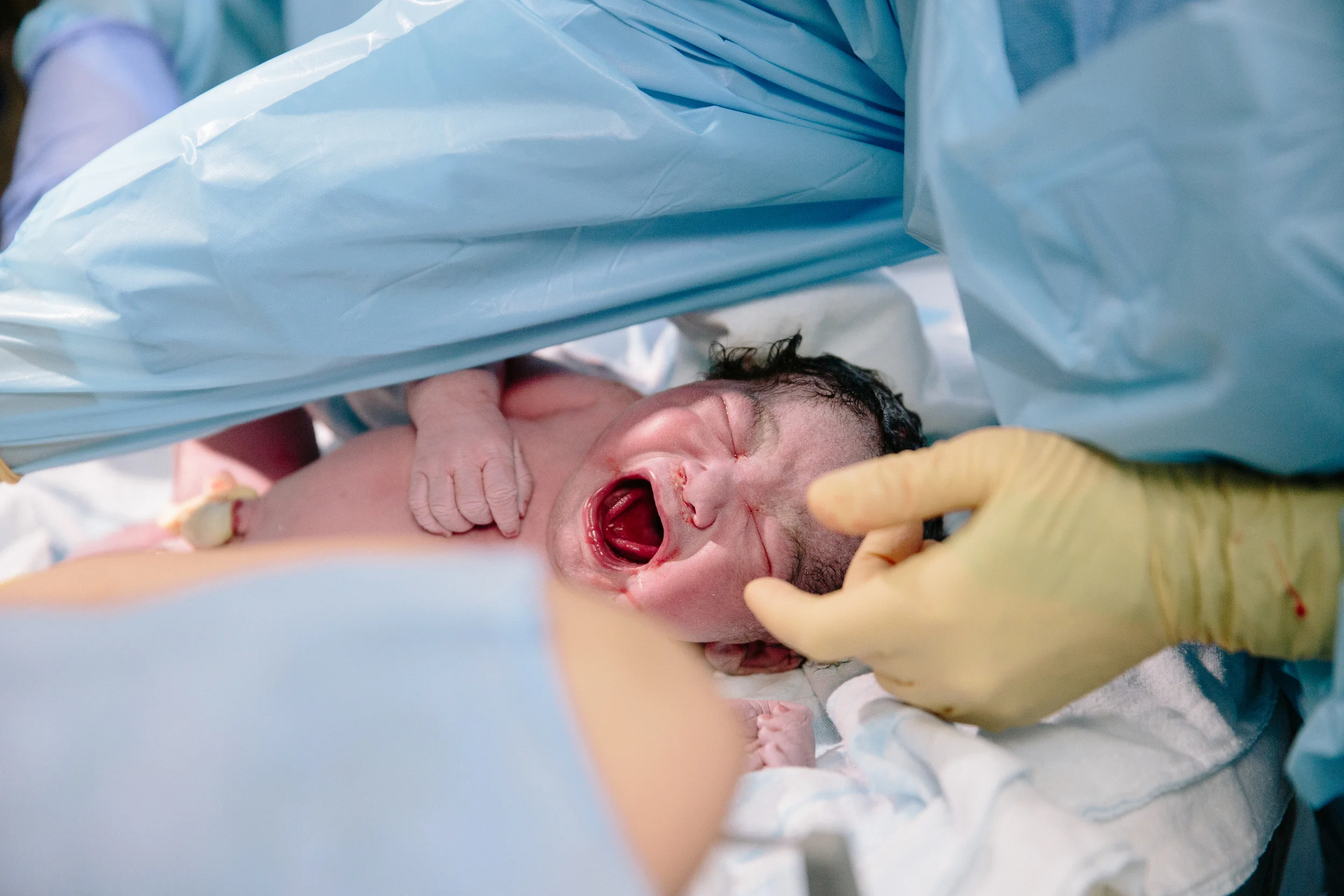 SLBIRTH-8495.jpg