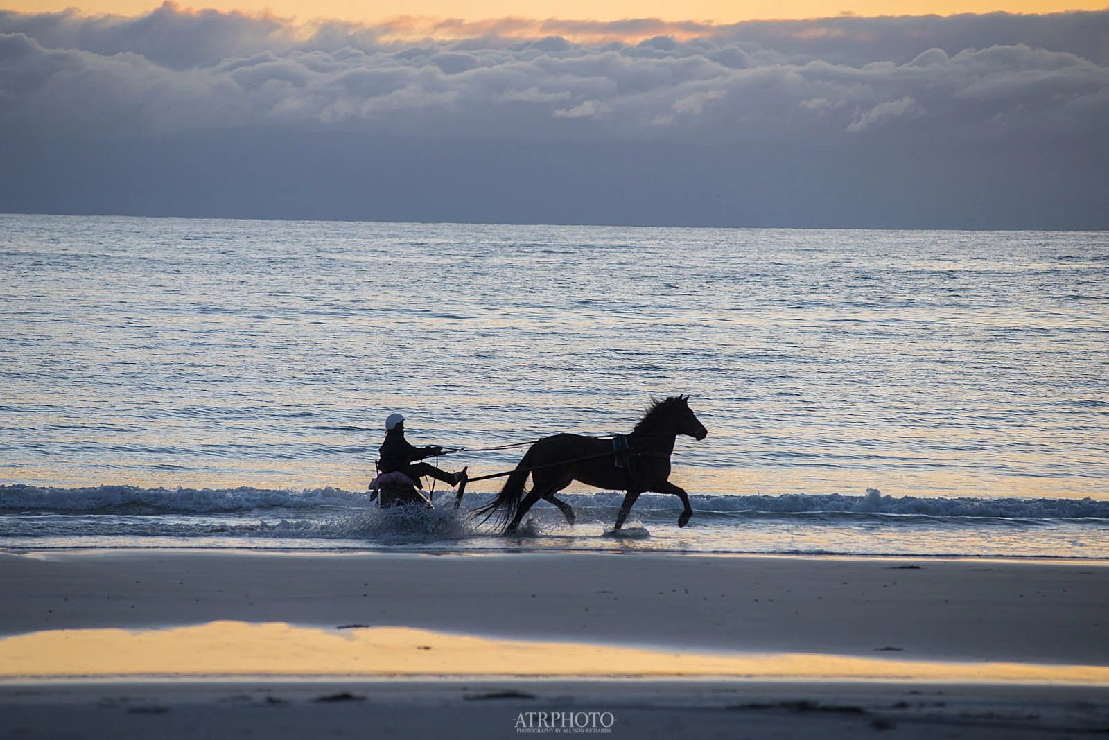 Midnight Sun Horse riding in Hov