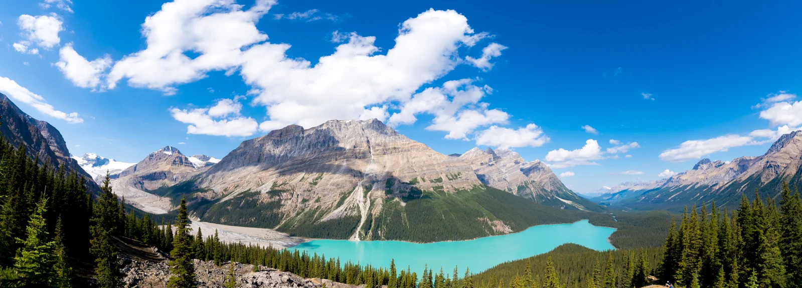 Panorama of Peyto Lake