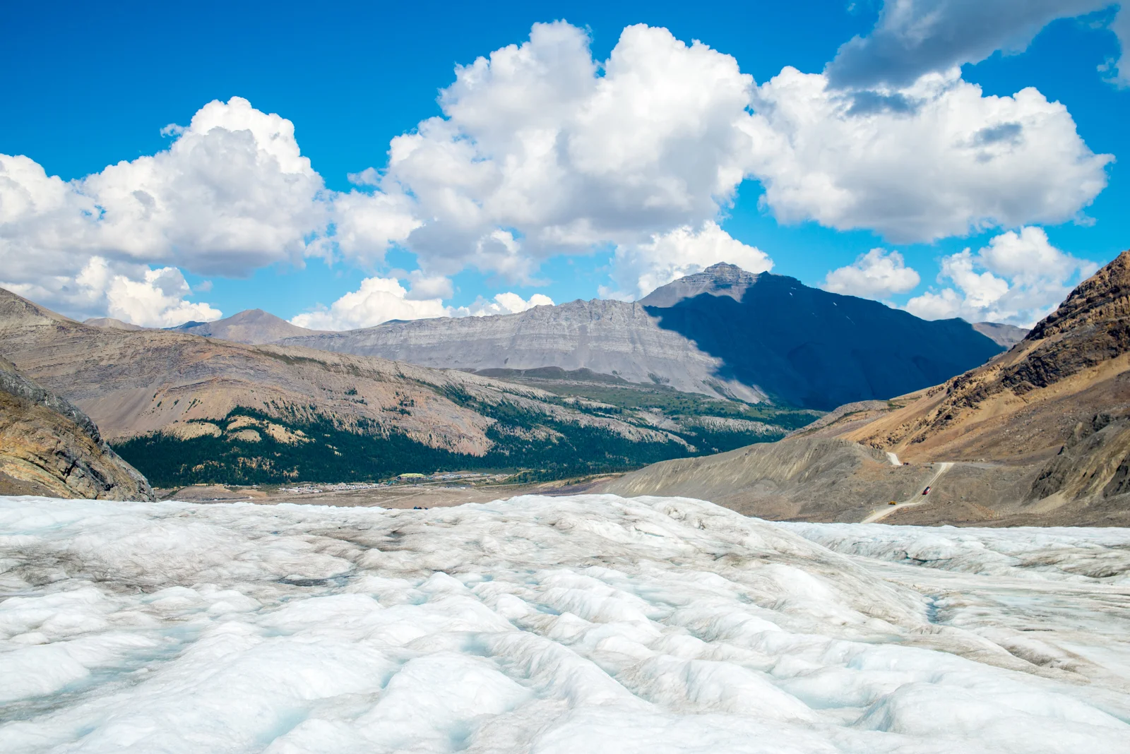 Walking on the Athabasca Glacier