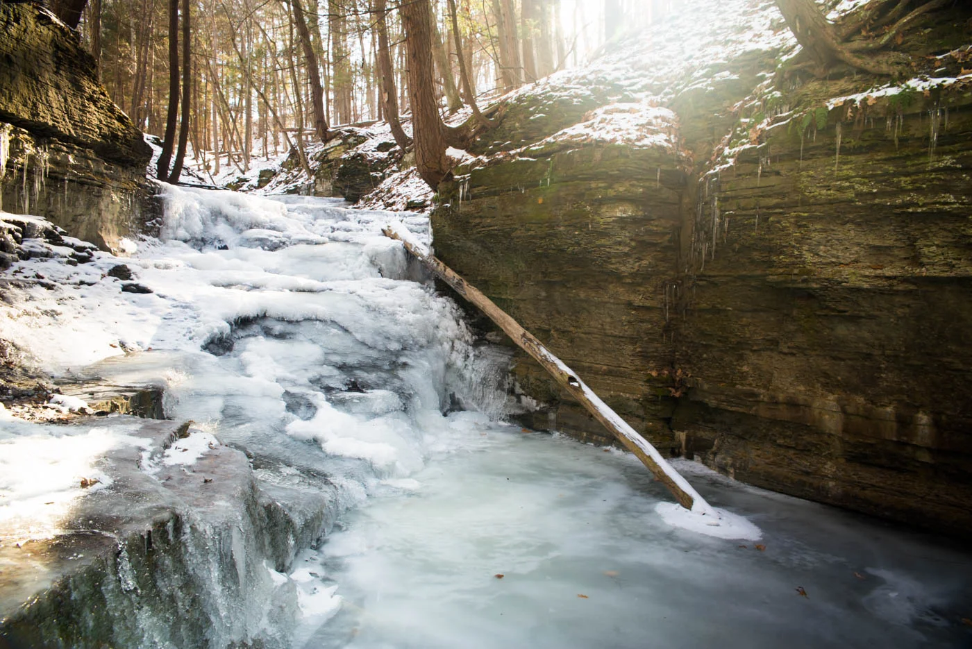 Sweedler Preserve
