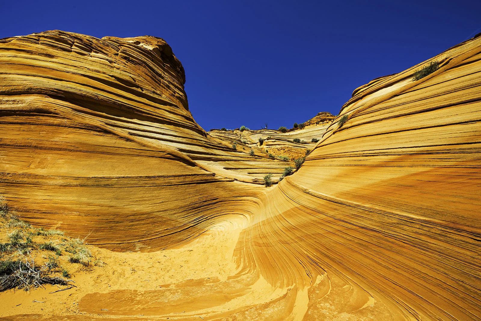 This is not "The Wave" but similar looking red rock in Coyote Buttes South.
