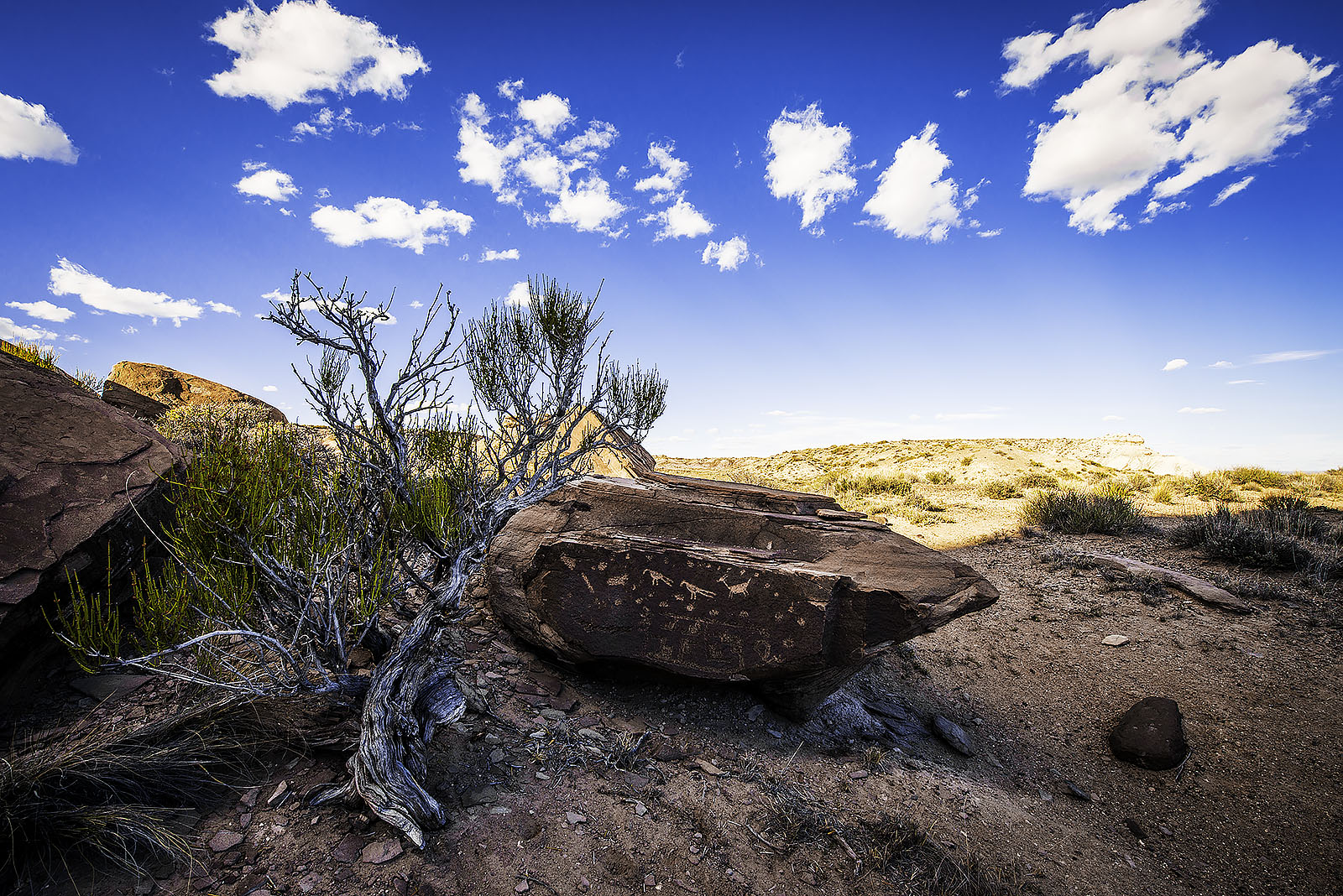 Petroglyphs at Martha's Butte