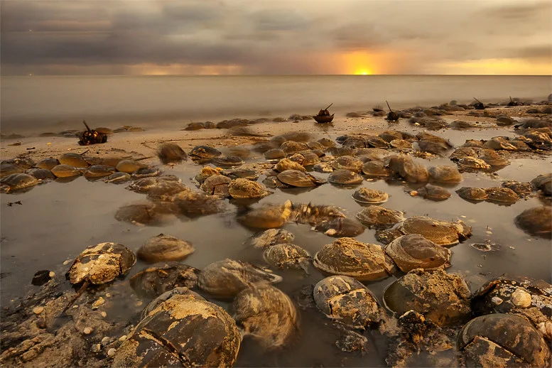 Paul's shot from his last trip, for good measure © Paul Nguyen