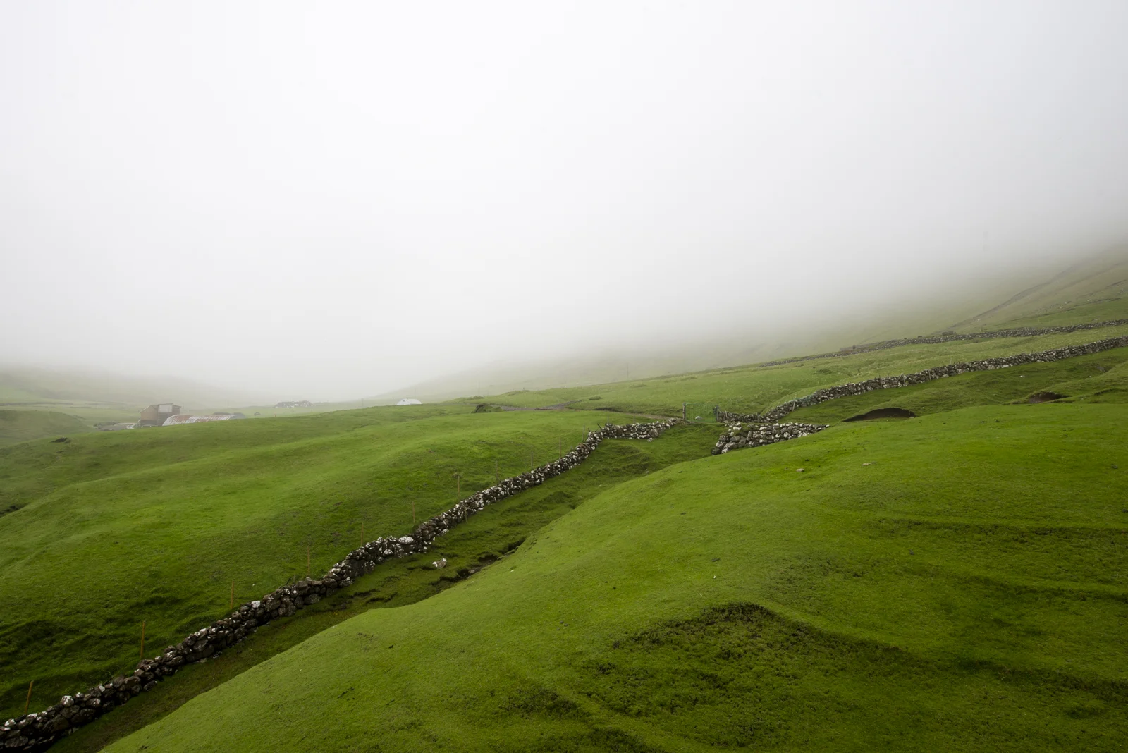 Very dense fog is daily.