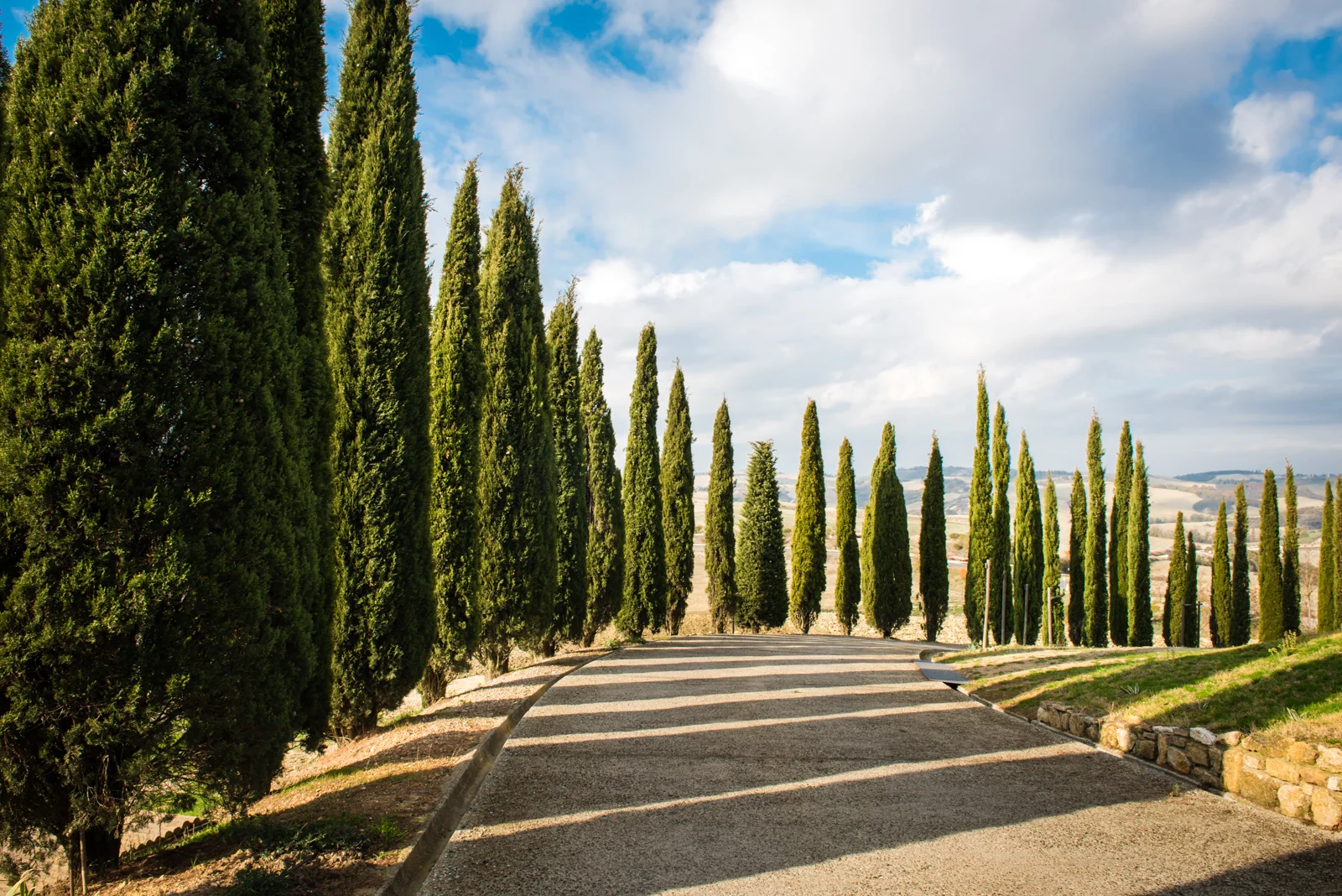 The driveway to our agriturismo
