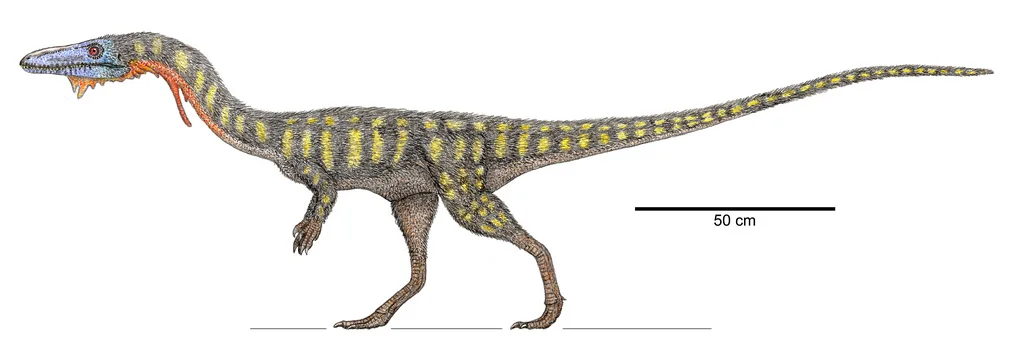 The Coelophysis - crowning jewel of PeFo