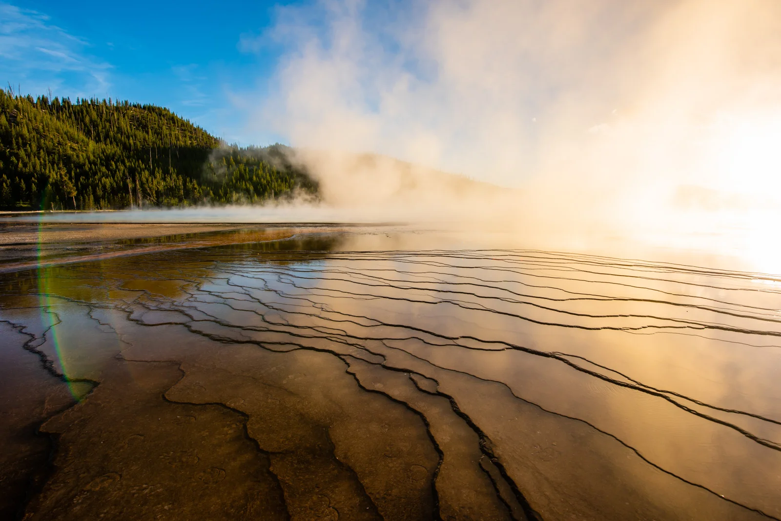 The organisms create "bacterial mats" which can make for some good abstract photography.