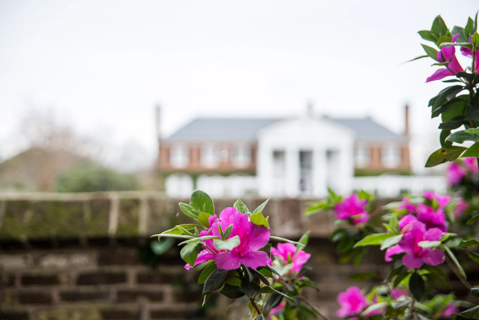 Boone Hall.jpg
