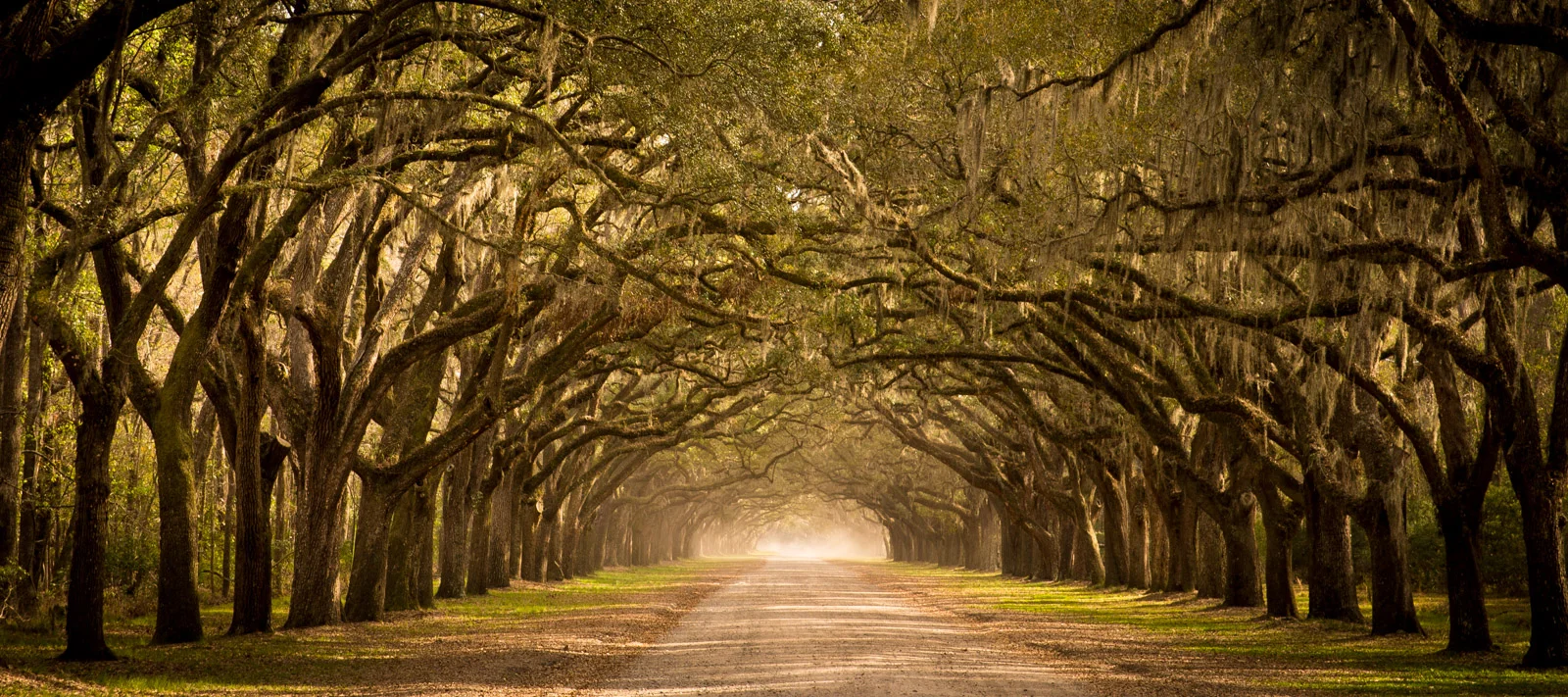 Wormsloe.jpg