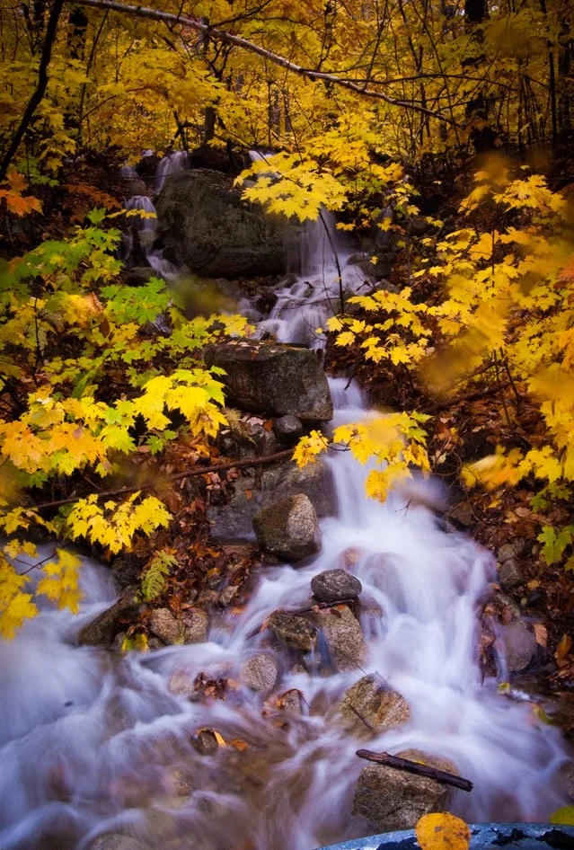 Autumn Cascade.jpg