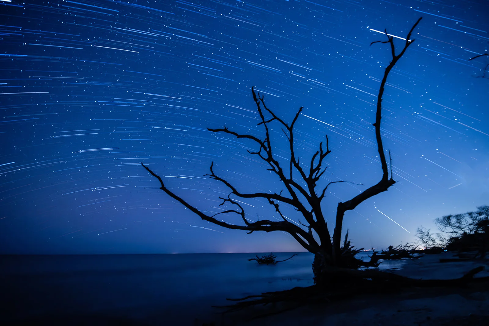 Night at Botany Bay.jpg