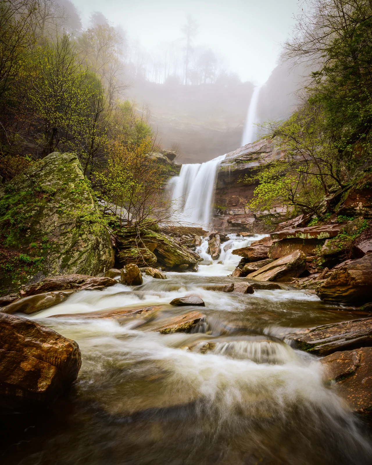 © Paul Nguyen