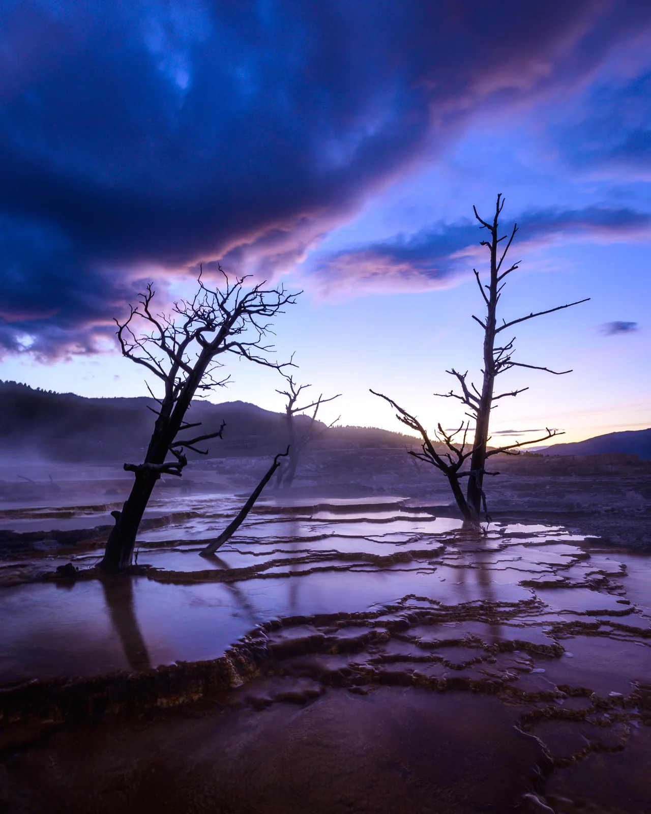 Mammoth Hot Springs