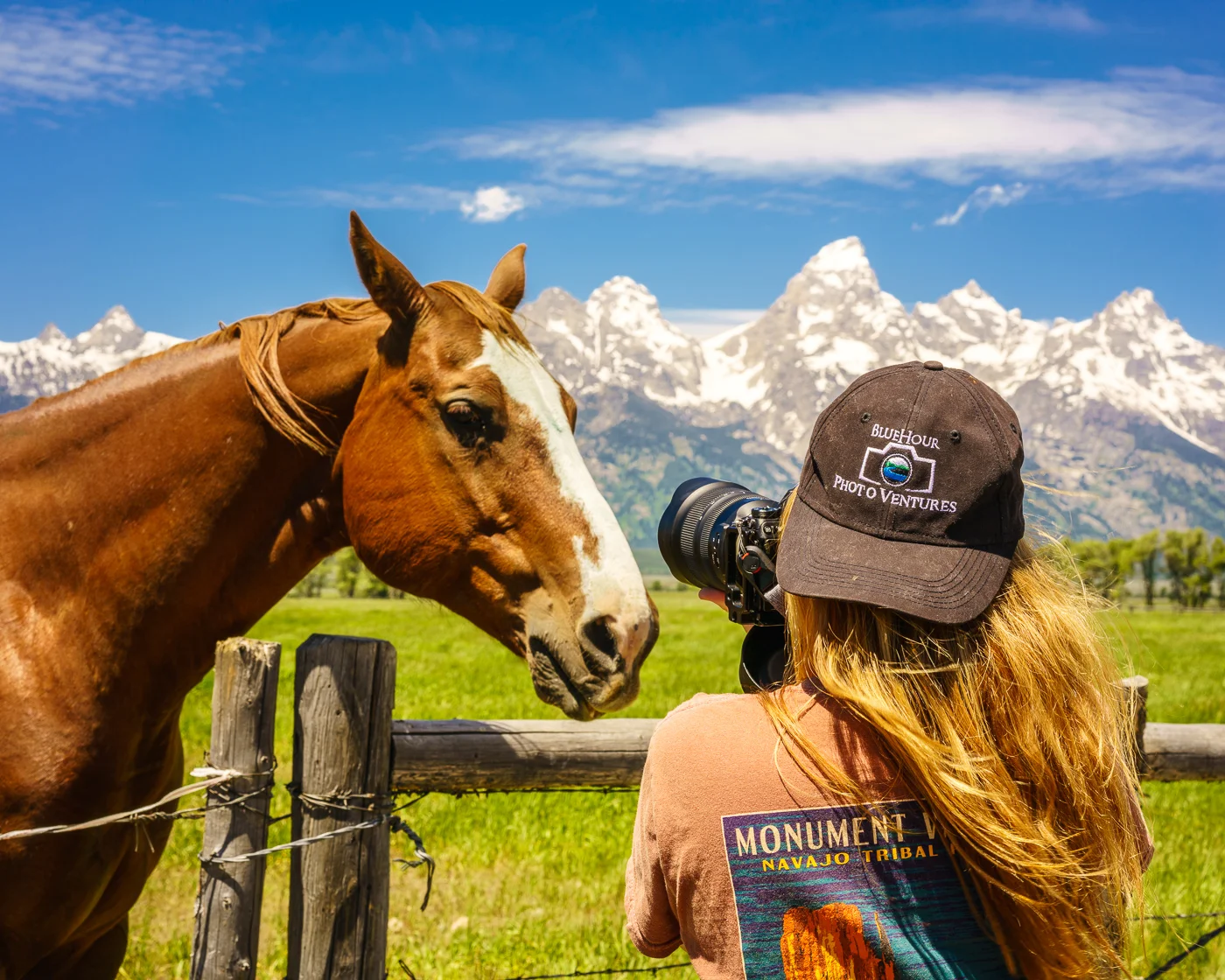 These horses had the perfect Western backdrop!