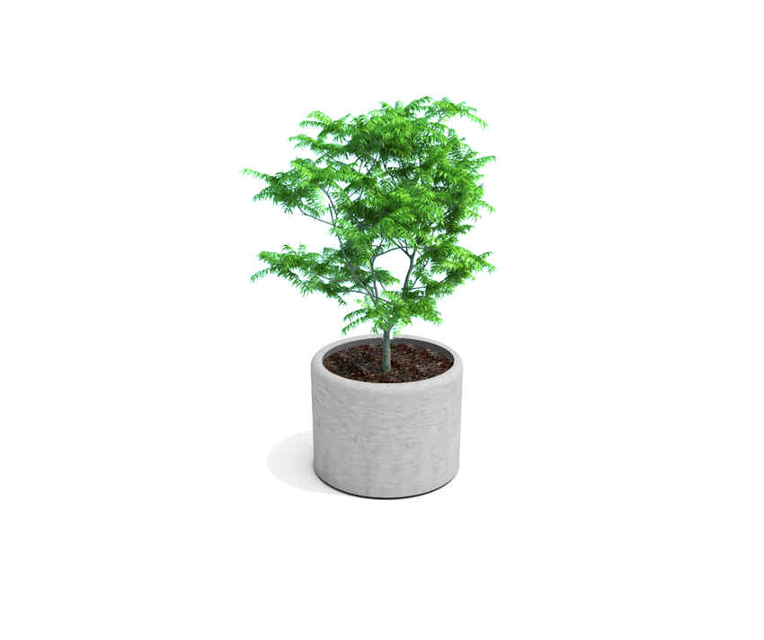 Cilindro