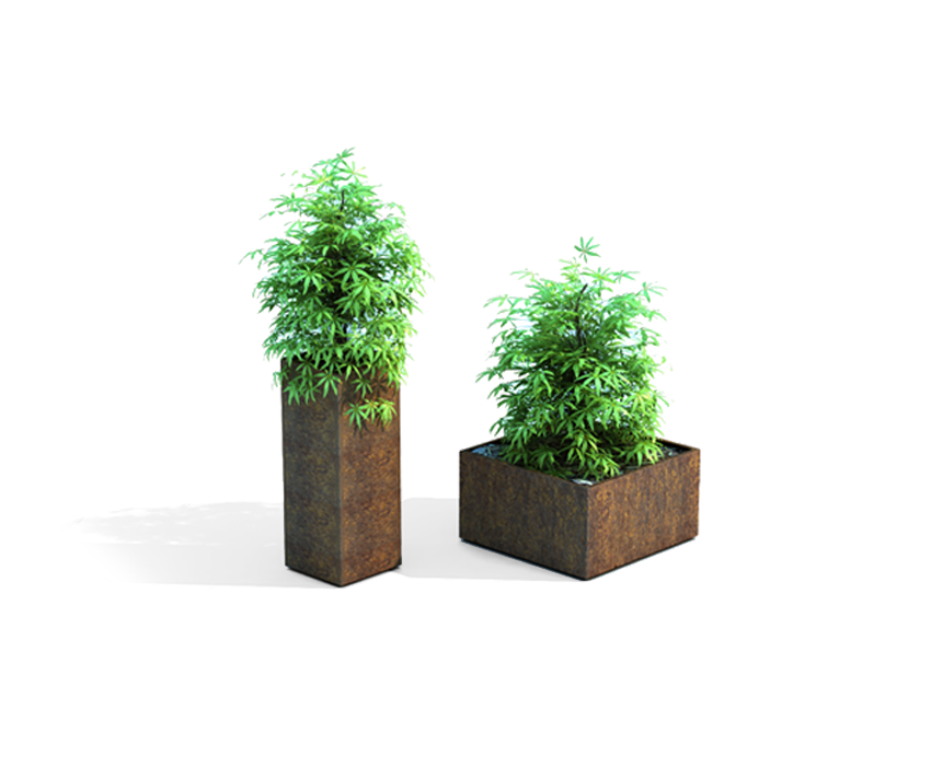 XYZ Corten