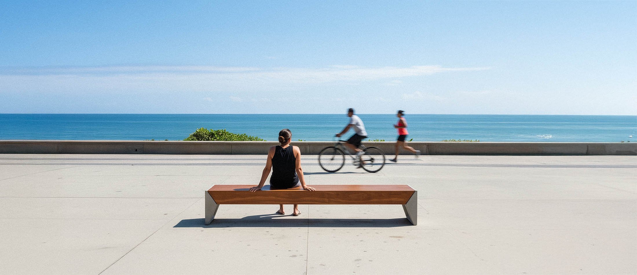 Bridge Capa2 copiar.jpg