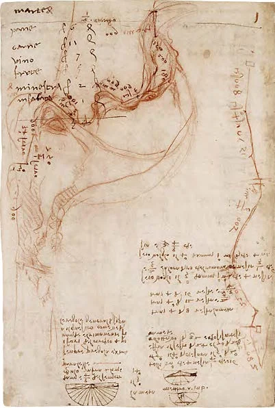Codex_Arundel_Page_300_Image_0001.jpg