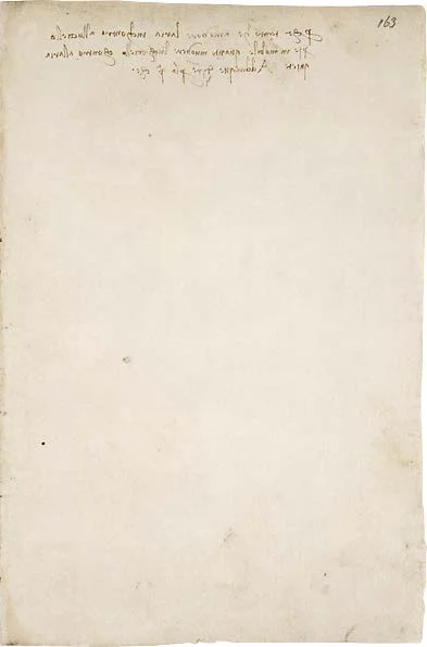Codex_Arundel_Page_329_Image_0001.jpg