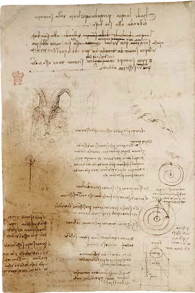 Codex_Arundel_Page_354_Image_0001.jpg