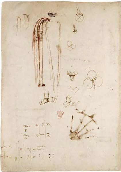 Codex_Arundel_Page_358_Image_0001.jpg