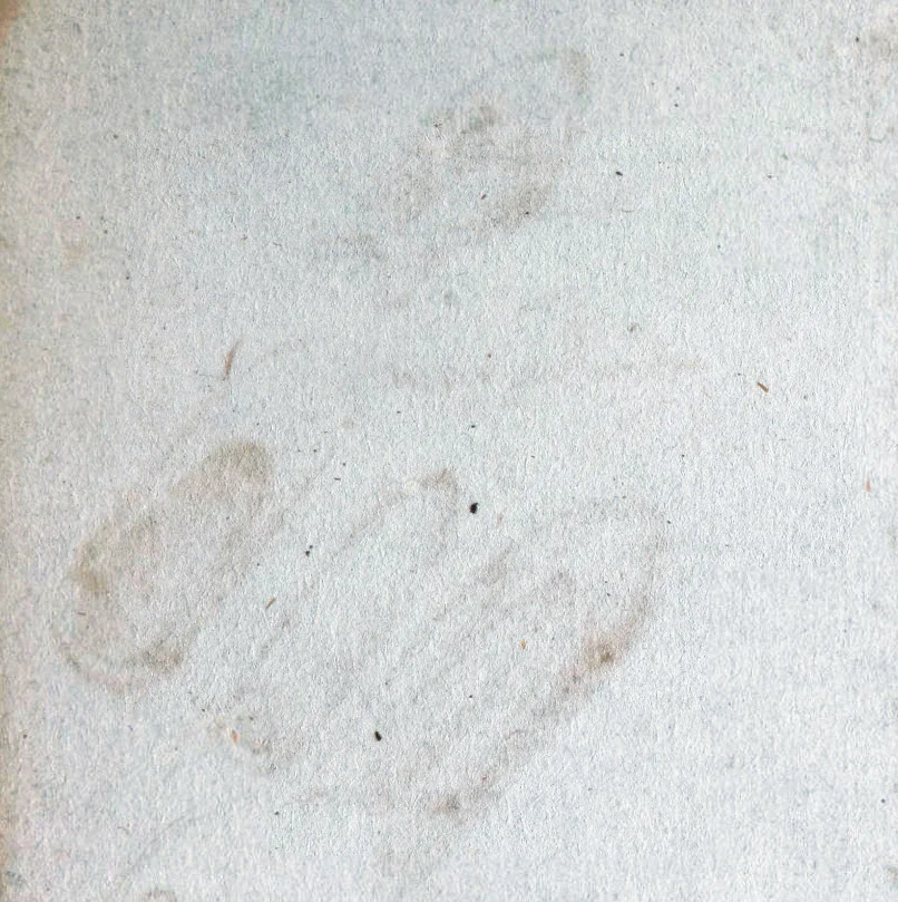davincicodexarundel-054r.jpg