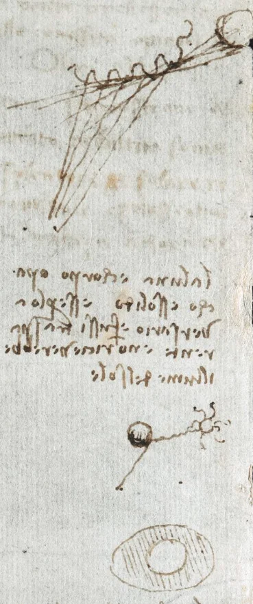 davincicodexarundel114detail.jpg