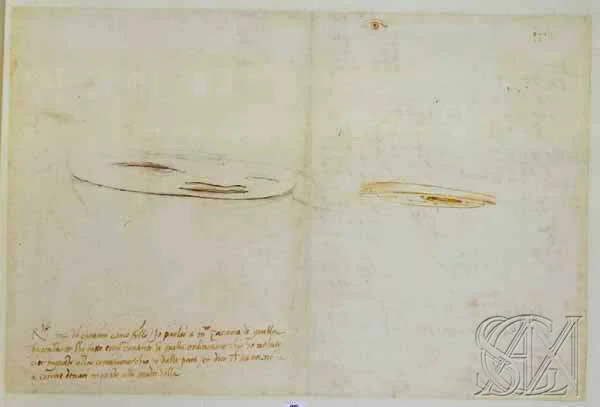 Codex_Atlanticus_Page_075_Image_0001.jpg