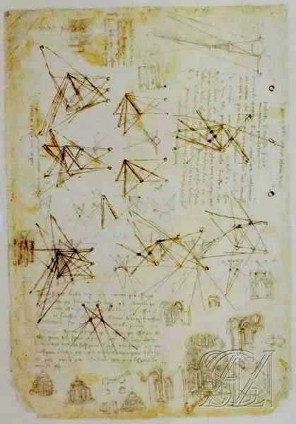 Codex_Atlanticus_Page_077_Image_0001.jpg