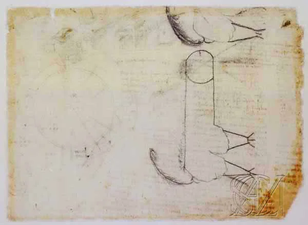 Codex_Atlanticus_Page_091_Image_0001.jpg
