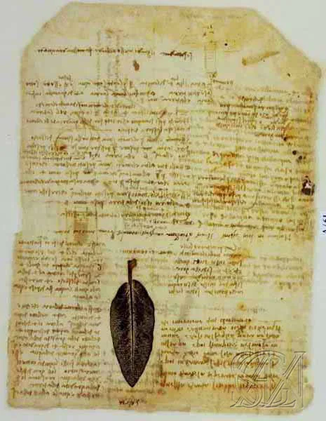 Codex_Atlanticus_Page_130_Image_0001.jpg