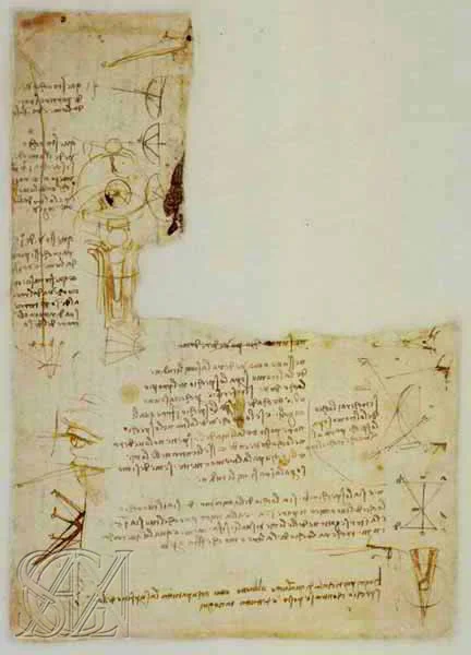 Codex_Atlanticus_Page_181_Image_0001.jpg