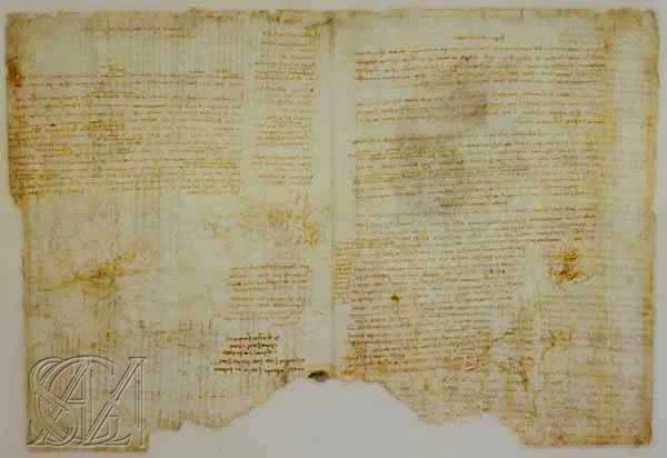 Codex_Atlanticus_Page_185_Image_0001.jpg