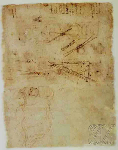Codex_Atlanticus_Page_194_Image_0001.jpg