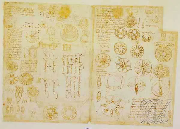 Codex_Atlanticus_Page_205_Image_0001.jpg
