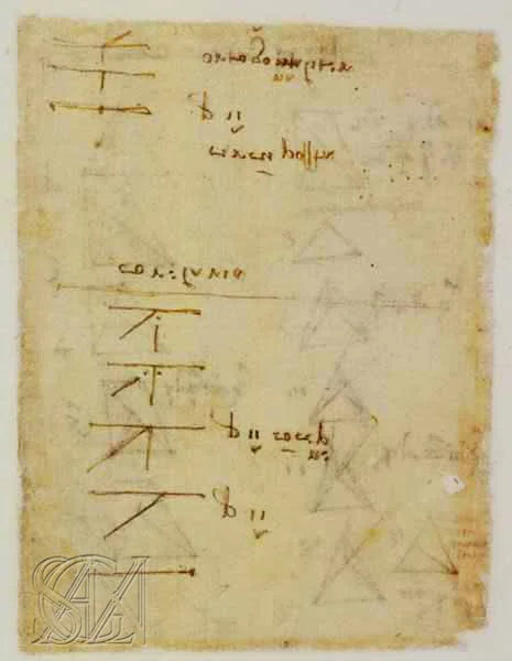 Codex_Atlanticus_Page_207_Image_0001.jpg