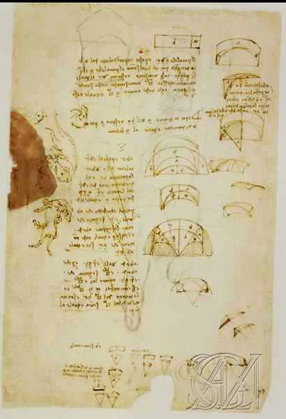 Codex_Atlanticus_Page_209_Image_0001.jpg