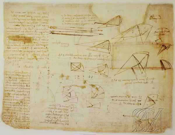 Codex_Atlanticus_Page_214_Image_0001.jpg