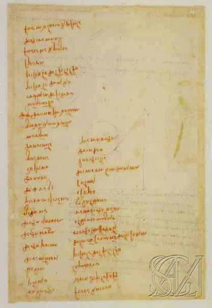 Codex_Atlanticus_Page_224_Image_0001.jpg