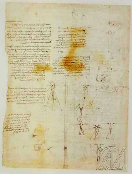 Codex_Atlanticus_Page_239_Image_0001.jpg
